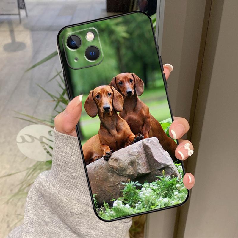 Dachshund Dog Phone Case For iPhone 12 11 13 14 15 16 Pro Max Mini X XS XR Plus Shockproof Cover