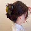Fashion Jelly Color Grab Hair Clips For Women Girls Elegant Acrylic Large Clamp Hairpin Shark Cawl Clips Hair Accessories