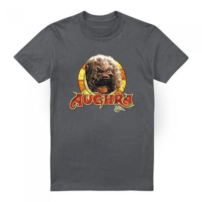 Üst giysisi – T-shirtler