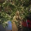 Solar Copper Wire Lamp LED Night Light Warm Light Fairy Light String Outdoor Garden Trees Party Decoration Atmosphere Light