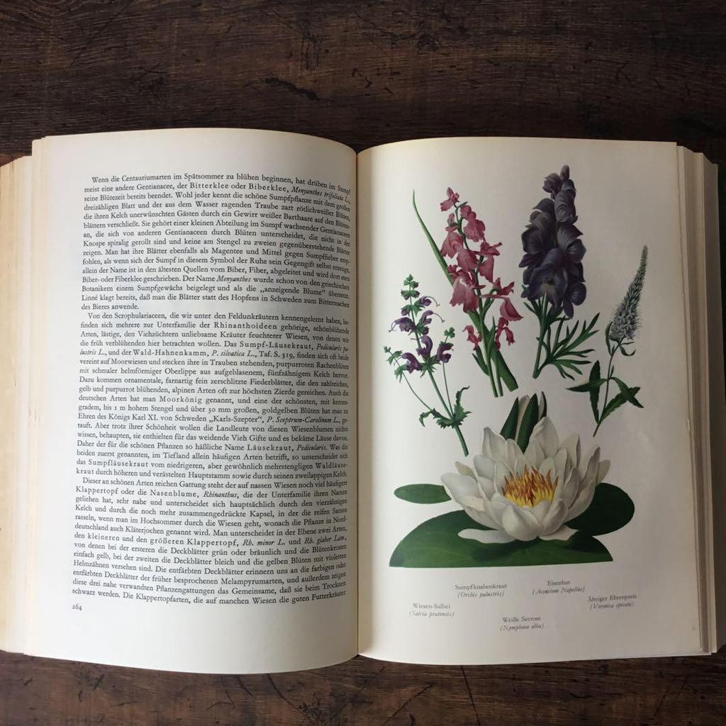 [USED] Foreign books German plant encyclopedias Vintage books Botanical