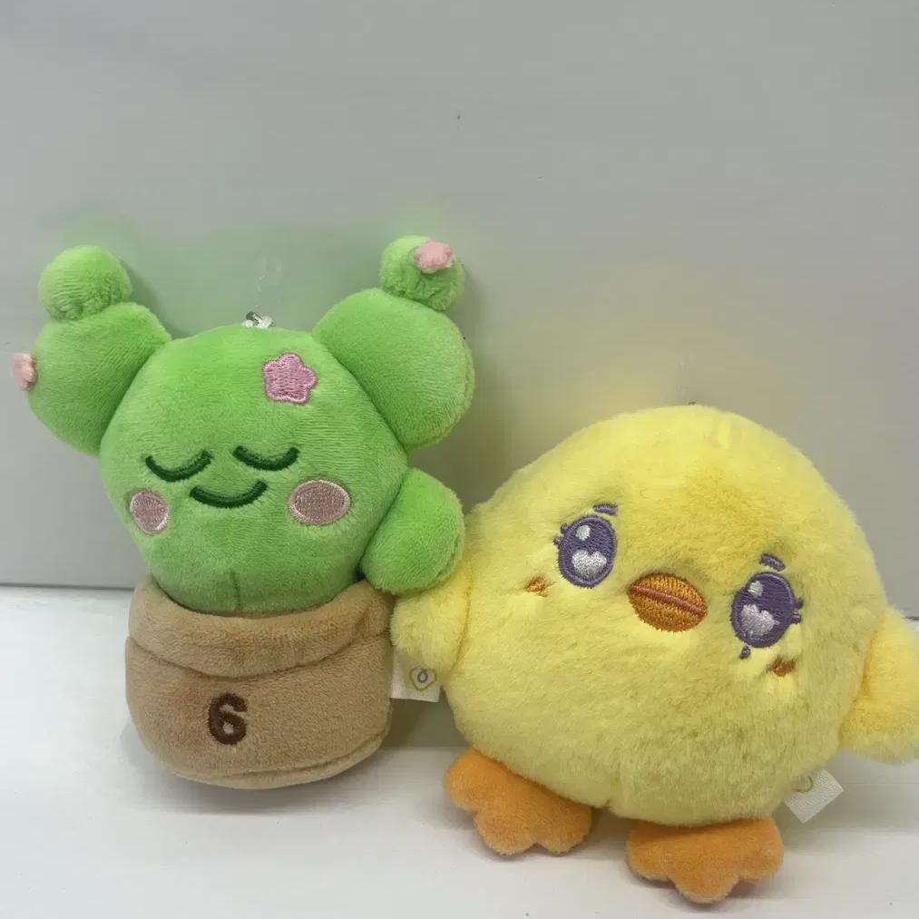 

Суккулентная кукла Иу Пиппи оптом