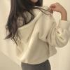 Autumn Winter Loose Casual Lamb Fleece Pullover Hooded Sweatshirt Women Solid Color Warm Zipper Hoodies Outwear Top