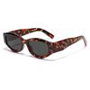 Glasses Men'S Polygonal Cat'S Eye Tortoiseshell Retro Sunglasses Women'S Trendy Cool Street