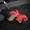 Feng Shui Color-changing Tea Pet, Small Goldfish Ornament, a Wealth Attraction Masterpiece, Bringing Good Fortune. Koi Fish Can