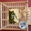 Exquisite Large Bamboo Grasshopper Cage with Free Accessories and Shipping, Damage Included