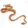 Realistic Python Captivating Snake Model Perfect For Educational And Purposes Decorative