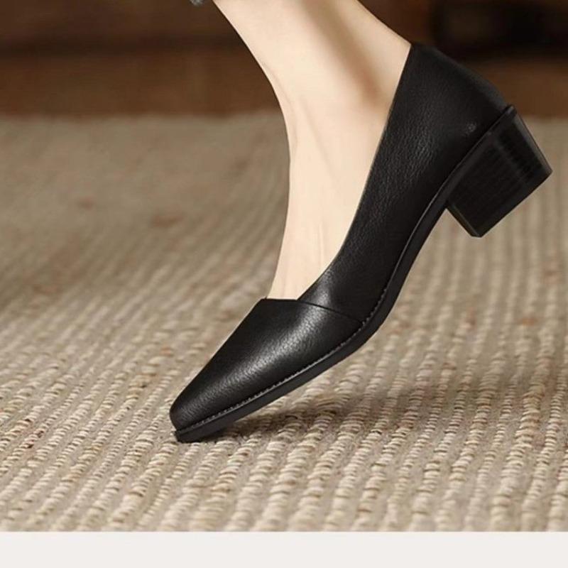 Fashion Women's Coarse Heel Shoes Spring New Pointed Head Shallow Mouth Soft Sole Waterproof Non-slip Low-top Shoes
