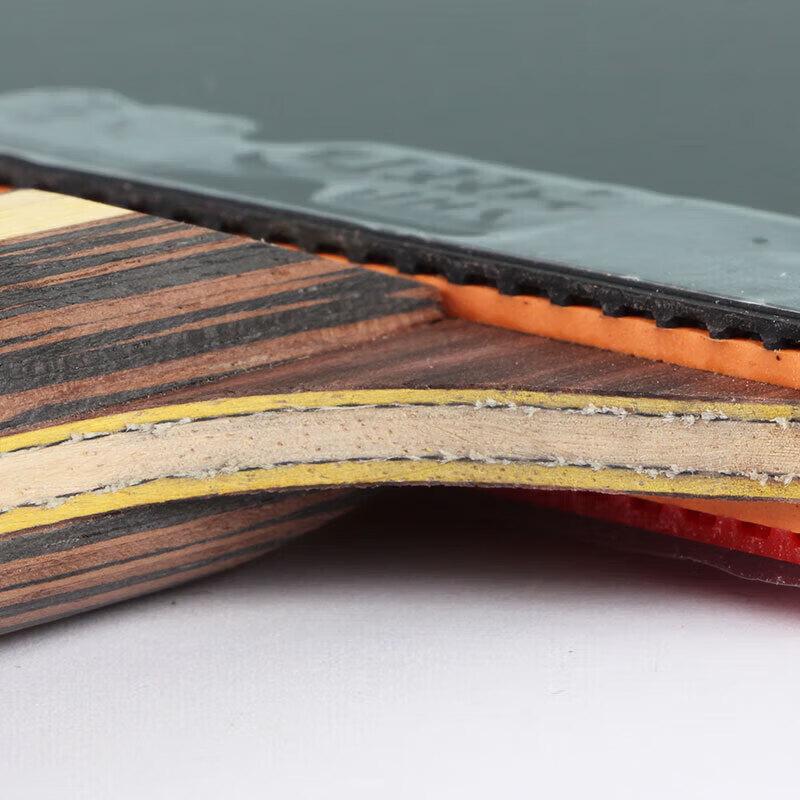 DHS 9-Star Professional Table Tennis Racket (Ebony Aryl-carbon)