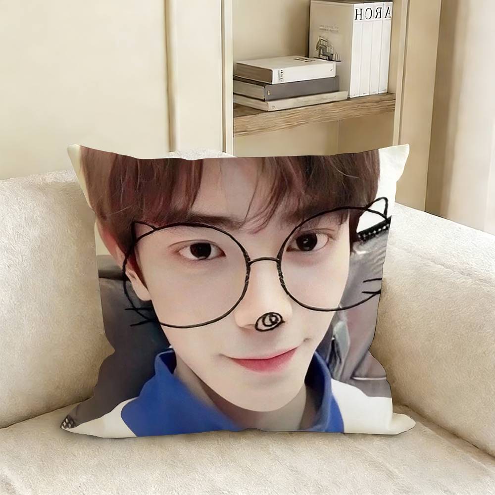 Ryan Ding Yuxi Mu Sheng Pillow Case Living Room Sofa Cushion Cover Suitable For Home Bedroom Room Decoration