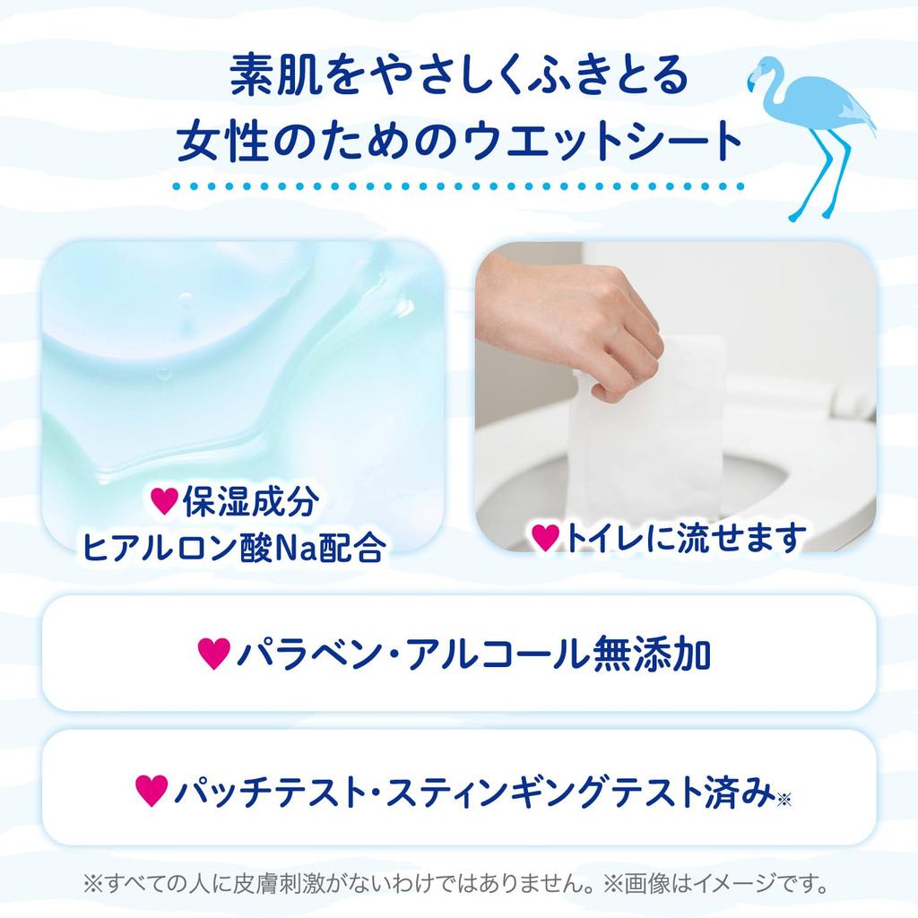 LEC Delicate Wet Mini Pack x 3 Made in Originally Made from Baby Wipes Women's Wipes, Femia, 10-Sheet (Unscented), Flushable, Japan,