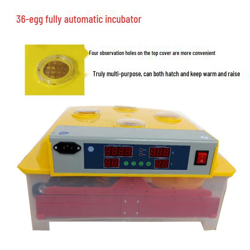 Incubatrice Automatica per Uova Domestica per Uova Piccole: Incubatoio per Polli, Anatre, Oche