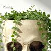 Desktop Plant Display Halloween Retro Skull Planter, Spooky Gothic Human Head Flower Pot, Indoor Potted Pot Skeleton Candy Bowl Decoration for