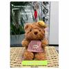 Cute Bear Bag Pendant With Polyester Plush Material For Kids And Teens