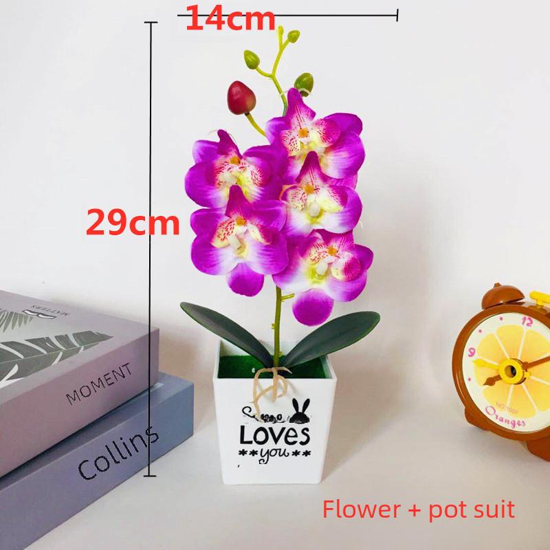 Love Pot Phalaenopsis Potted Green Plant Decorations For Home Decor Ideas Gift