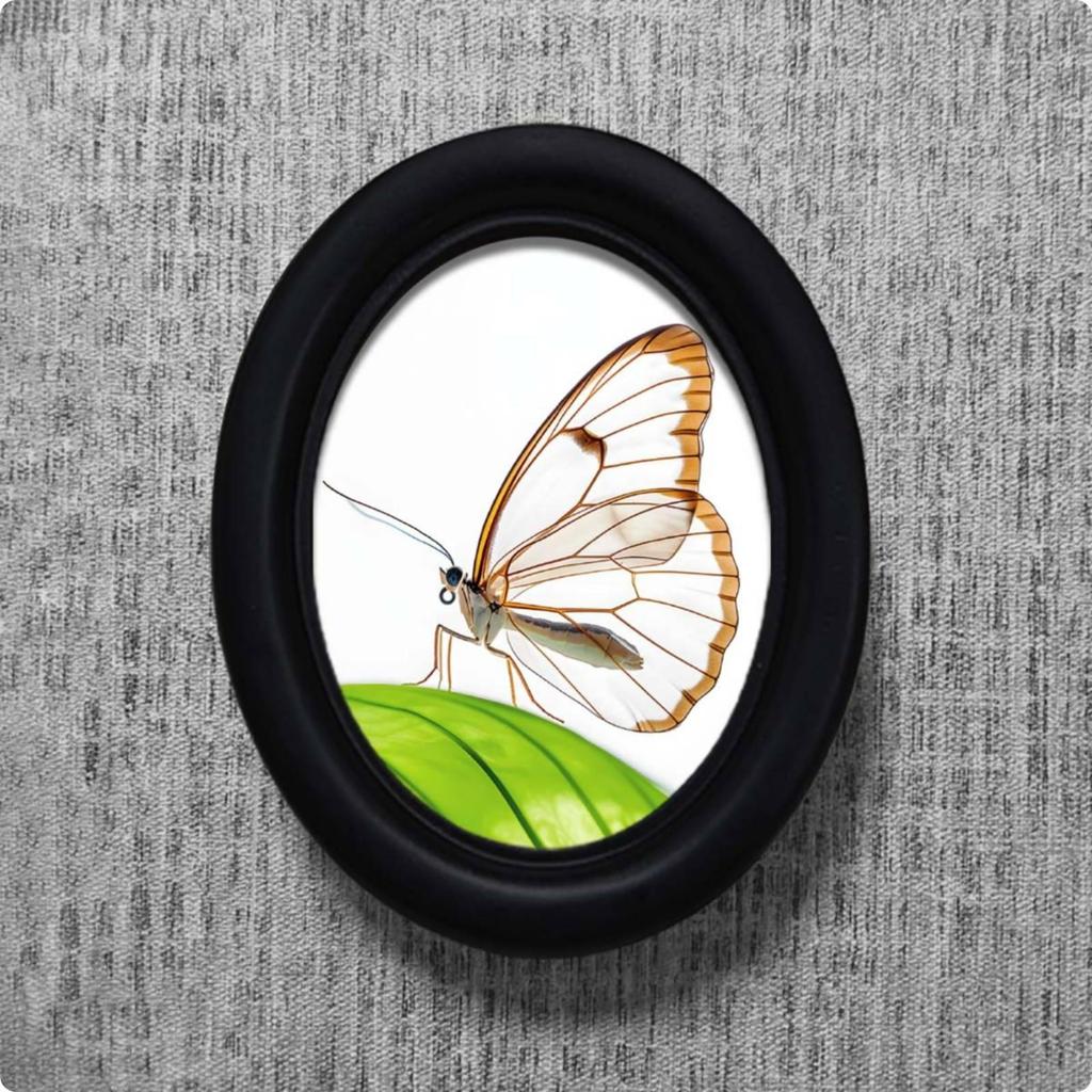 Butterfly Picture Frame Smooth Dark Finish Oval Decorative Rounded Raised Border