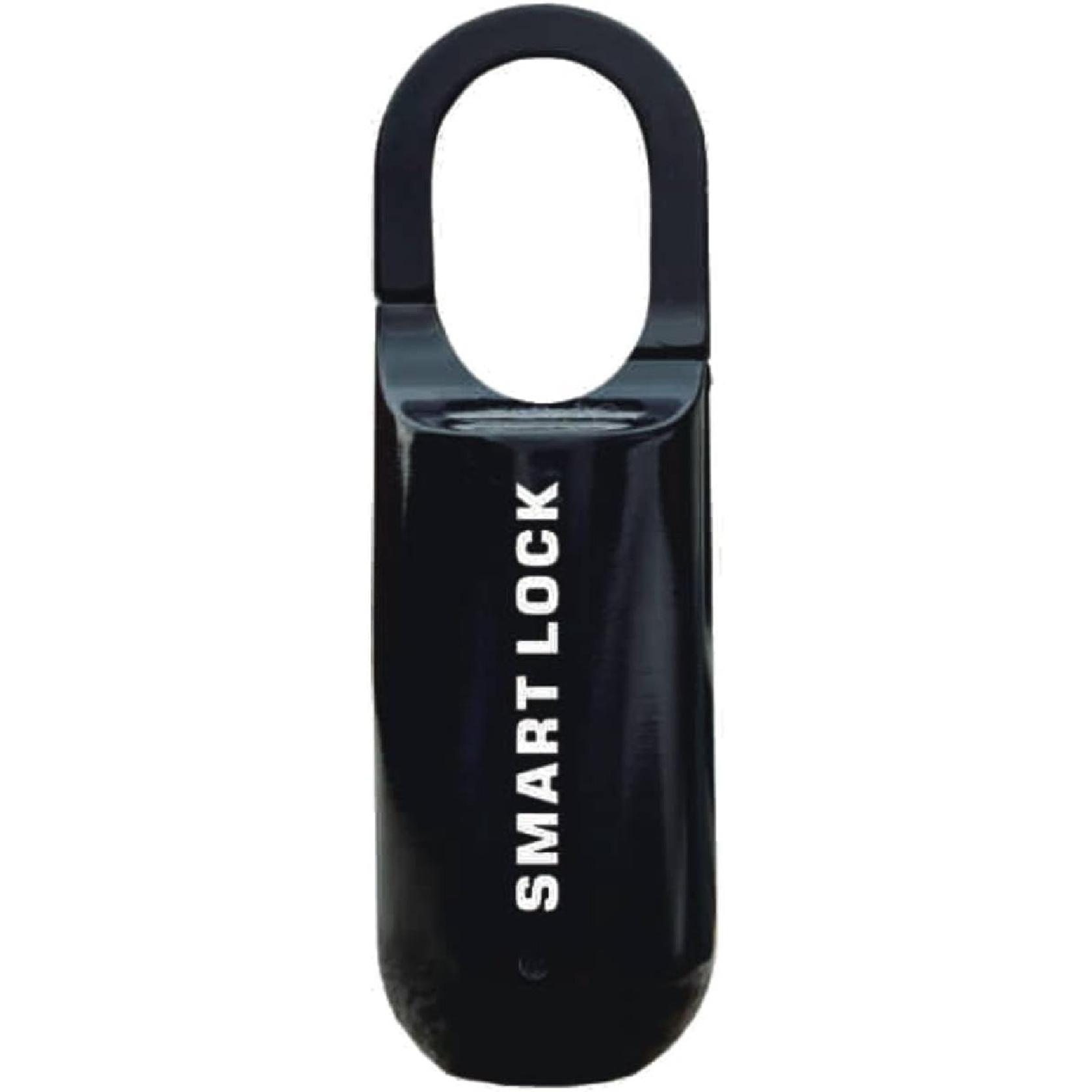 

Умный навесной замок с отпечатком пальца, замок для студенческого рюкзака, мини-электронный замок с отпечатком пальца для багажа, замок для шкафчика, USB-зарядка