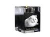 Turkish Angora – Candle holder with cat photo, crystal tealight holder | Art-Dog