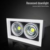 Longdai LED Double-Head Recessed Grille Spotlight