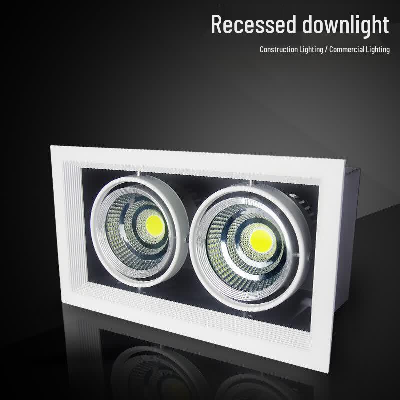 Longdai LED Double-Head Recessed Grille Spotlight
