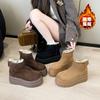 Design Sense Fleece Snow Boots Women's Winter New Fleece Thick-soled Warm Zipper Cotton Shoes