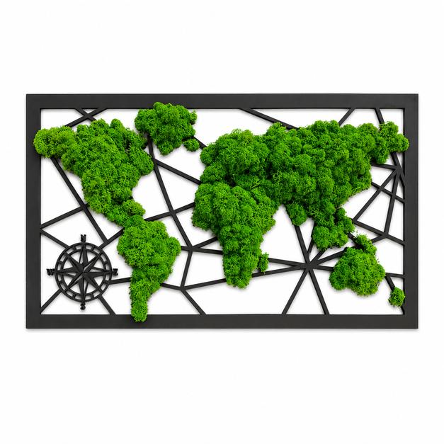 Picture - world map made of moss - 55cm x 33cm (4mm plywood)