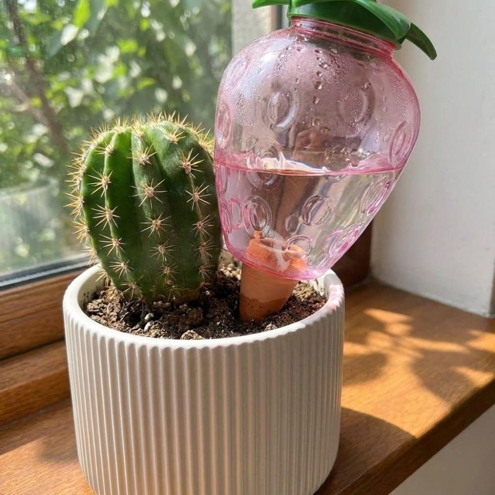 Water Conservation Succulent Plant Sprinkler Transparent Automatic Watering Device Indoor Plants