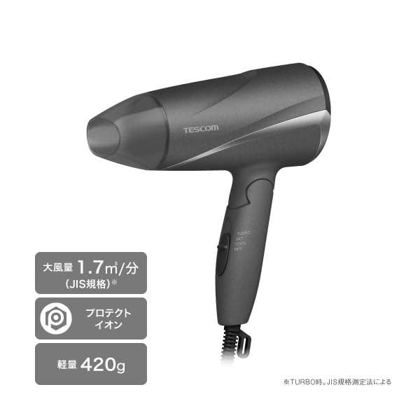 Tescom Hair Dryer Protect Ion Foldable Large Air Volume Lightweight Air Easy Plug Gray Cold/Hot TD360A-H