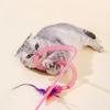2pcs/3pcs Feather Teasing Cat Stick Elastic Mesh Tube Cat Toy Rod Kitten Interactive Toys Pet Wand