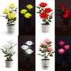 Solar Rose Garden Led Lamp With 3d Illumination For Patio And Garden Decor