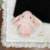 Stuffed Animals Cute Cartoon Rabbit Keychain Toy Girl Bag Car Keychain Mobile Phone Pendant Jewelry Gift
