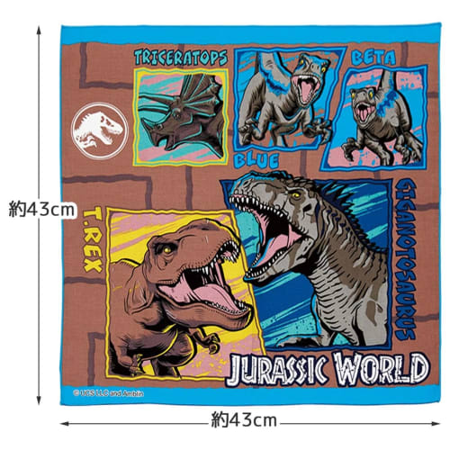 Skater Kids' Lunch Cloth, 43x43cm, Made In Japan, Jurassic 24, Boys' KB4