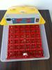 Incubatrice Automatica per Uova Domestica per Uova Piccole: Incubatoio per Polli, Anatre, Oche