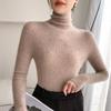 Women's Slim Fit High Neck Seamless Wool Sweater