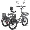 Electric Freight Bike Fafrees F20 Mate 750W Peak Motor 20" Fat Tire 48V 23.45AH Hydraulic Disc Brakes Max Load 180Kg LCD Display