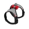 Perros – Collares y correas