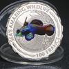 African Tropical Fish Commemorative Coin, Marine Animal Gold and Silver Coins, Clownfish Commemorative Silver Coins, Foreign Currency, Coins