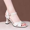 Temperament Open-toe One-word Sandals High Heels Sandals Thick Heel 2025 Summer New Fashion Versatile Elegant Women's Shoes