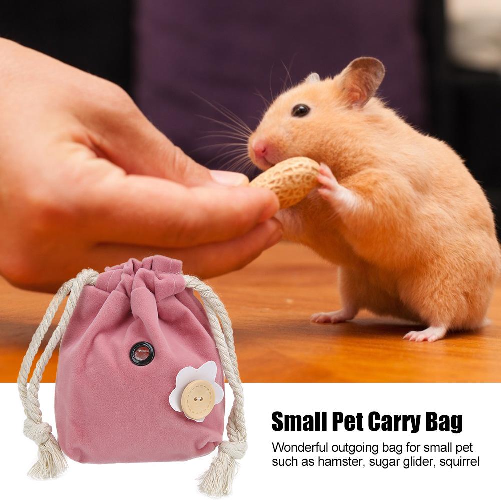 pet rat carrier