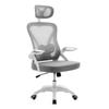 Ergonomic Study & Office Chair: Comfortable, Reclining, Adjustable—Stay Energized During Long Sessions