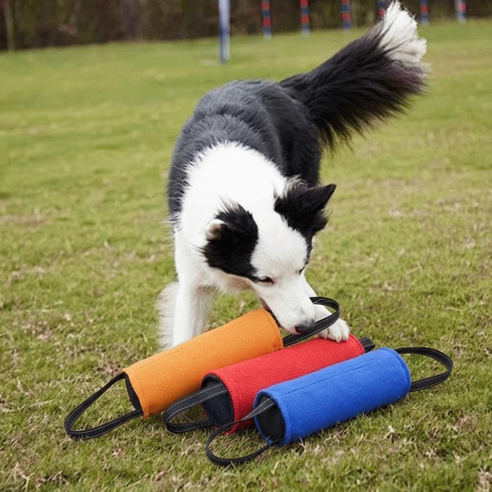 Multi Colors Available Dog Bite Tug Toy Seamed Reinforced Dog Chew Stick Dog Obedience Training