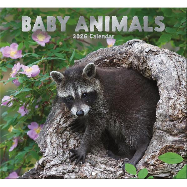 Baby Animals 2026 Full Size Wall Calendar for Planning, Scheduling, and Organizing