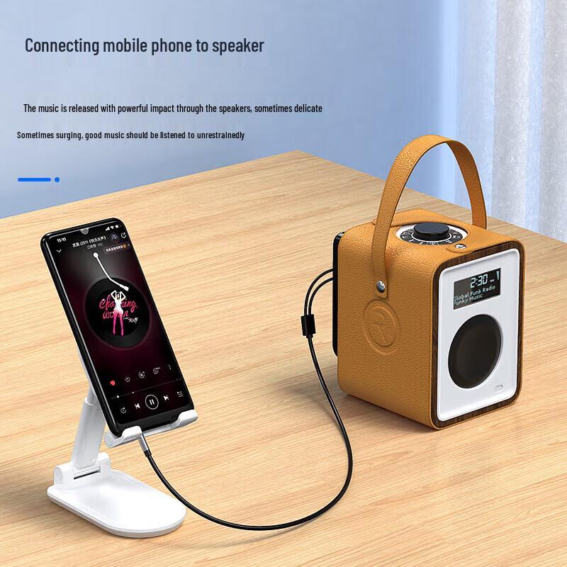 

Biaze 3.5mm to Dual RCA Audio Cable