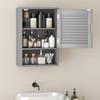 Bathroom Cabinet, Wall Mounted Storage Cabinet with Adjustable Shelves, 40 x 20 x 60 cm, Grey