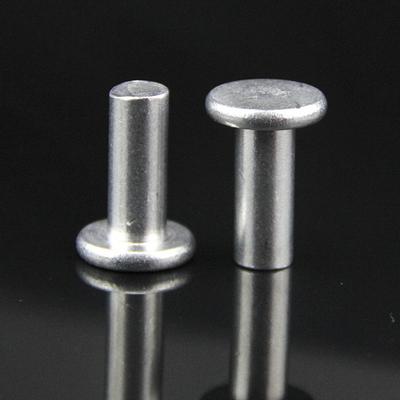 400Pcs M2/M2.5 Πριτσίνια Μικρό παχύ κιτ πριτσινιών με επίπεδη κεφαλή αλουμινίου για προϊόντα υλικού