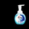 Walch Healthy Care Foam Antibacterial Hand Wash
