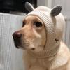 Kawaii Knitted Hat for Medium Large Dogs Autumn Winter Dog Accessories Pet Outdoor Supplies Labrador French Bulldog Headwear