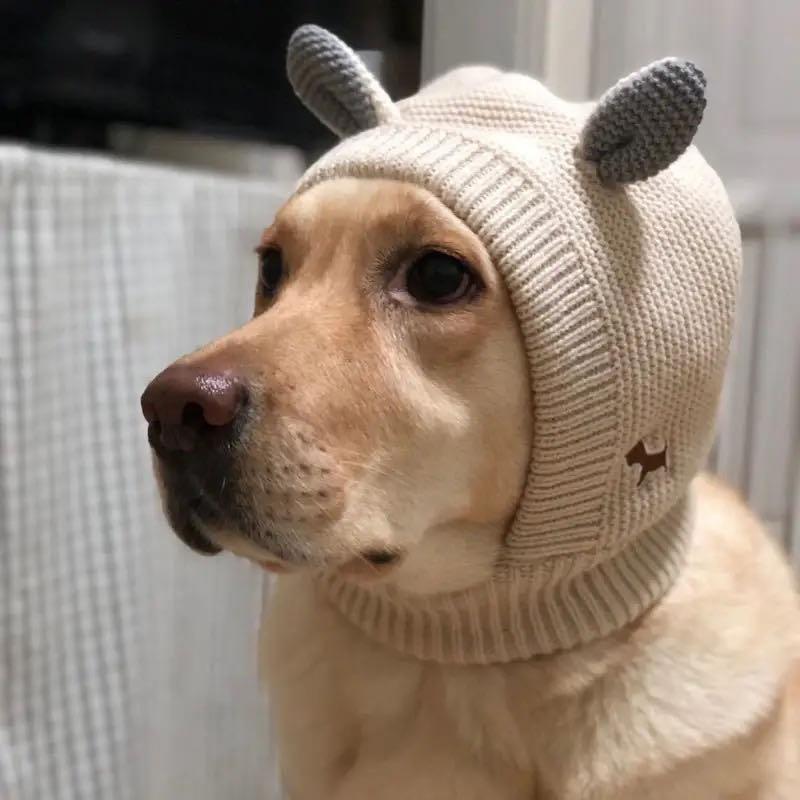 Kawaii Knitted Hat for Medium Large Dogs Autumn Winter Dog Accessories Pet Outdoor Supplies Labrador French Bulldog Headwear