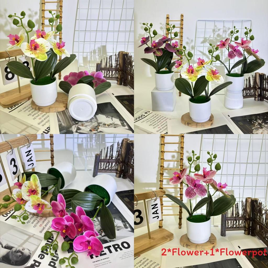 Butterfly Orchid Imitation Flower Set For Home Interior And Outdoor Garden Decoration