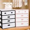 Skříňka na uskladnění spodního prádla 4vrstvý zásuvkový design Zesílený organizér na podprsenky a kalhotky s